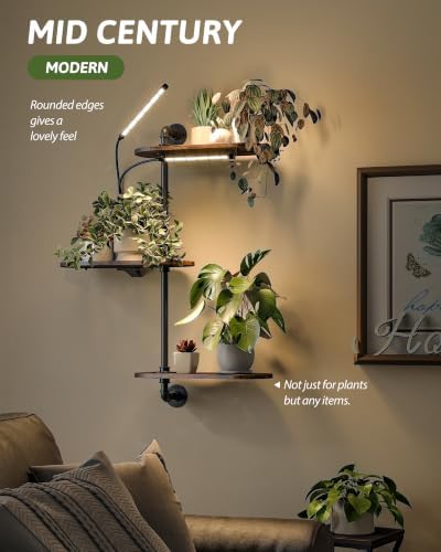 GENTINGBRO Window Plant Shelves 3-Tier - Image 6