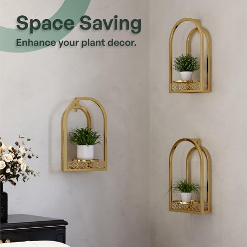 3 Pack Wall Plant Stands, Indoor Plant Holders Apartment - Image 6