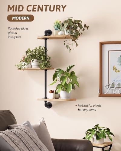 GENTINGBRO Window Plant Shelves 3-Tier Rotating Plant Stand Natural - Image 6
