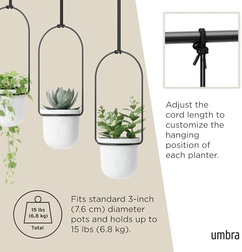 Umbra Triflora Hanging Planter, Indoor Herb Garden - Image 5