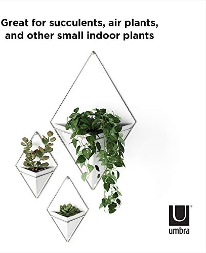 Umbra Trigg Wall Display, Geometric Planter Vessels - Image 6