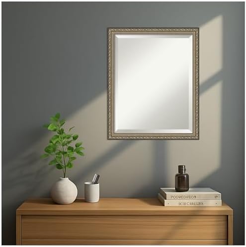 Amanti Art Silver Wall Mirror 22x18 Wood Framed Small Mirror - Image 6
