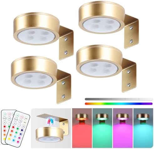 4-Pack Picture Light Battery Operated Painting Lights, Dimmable and Timer by KELUOLY