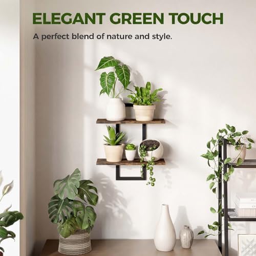 Bamworld Floating Shelves for Wall Planters Indoor Hanging Plant Shelves - Image 6