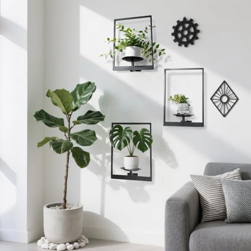 Plant Wall Shelf, Metal Modern Style Frame, Picture Wall Plant Holder, Plant - Image 7