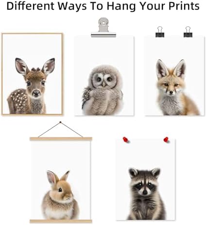 Nursery Animal Wall Art Pictures Baby Safari Canvas Wall Decor Jungle Woodland - Image 7