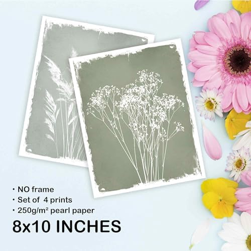 TLESKE Sage Green Vintage Spring Botanical Posters Prints Unframed 8x10 Set of 4 - Image 7