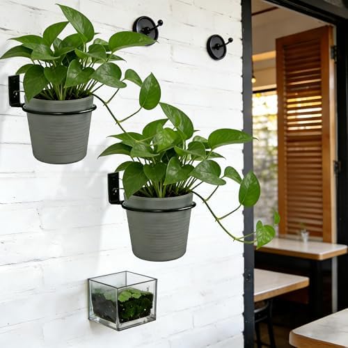 6 Pack 8 Inch Plant Pot Holder Ring, Metal Plant Holder Brackets Rings - Image 6