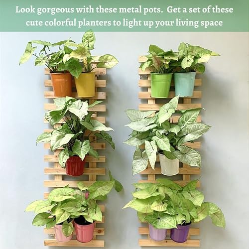 ShopLaLa Wall Planter Wooden Wall Mounted Hanging Planters - Image 6