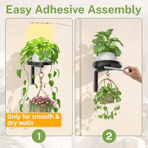 iDavosic.ly Plant Wall Hanger - Image 6