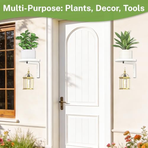 iDavosic.ly Plant Wall Hanger Holder Set of 2 - Image 6