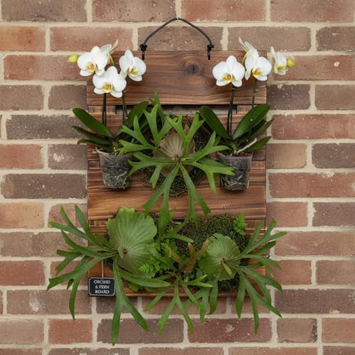 Staghorn Fern Mounting Board Kit Wooden Wall Planter Hanging Plant Holder - Image 6