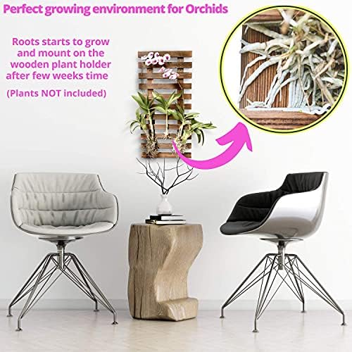 ShopLaLa Wall Planter - Image 6