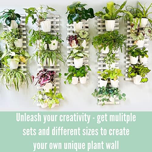ShopLaLa Wooden Wall Planters - Image 6