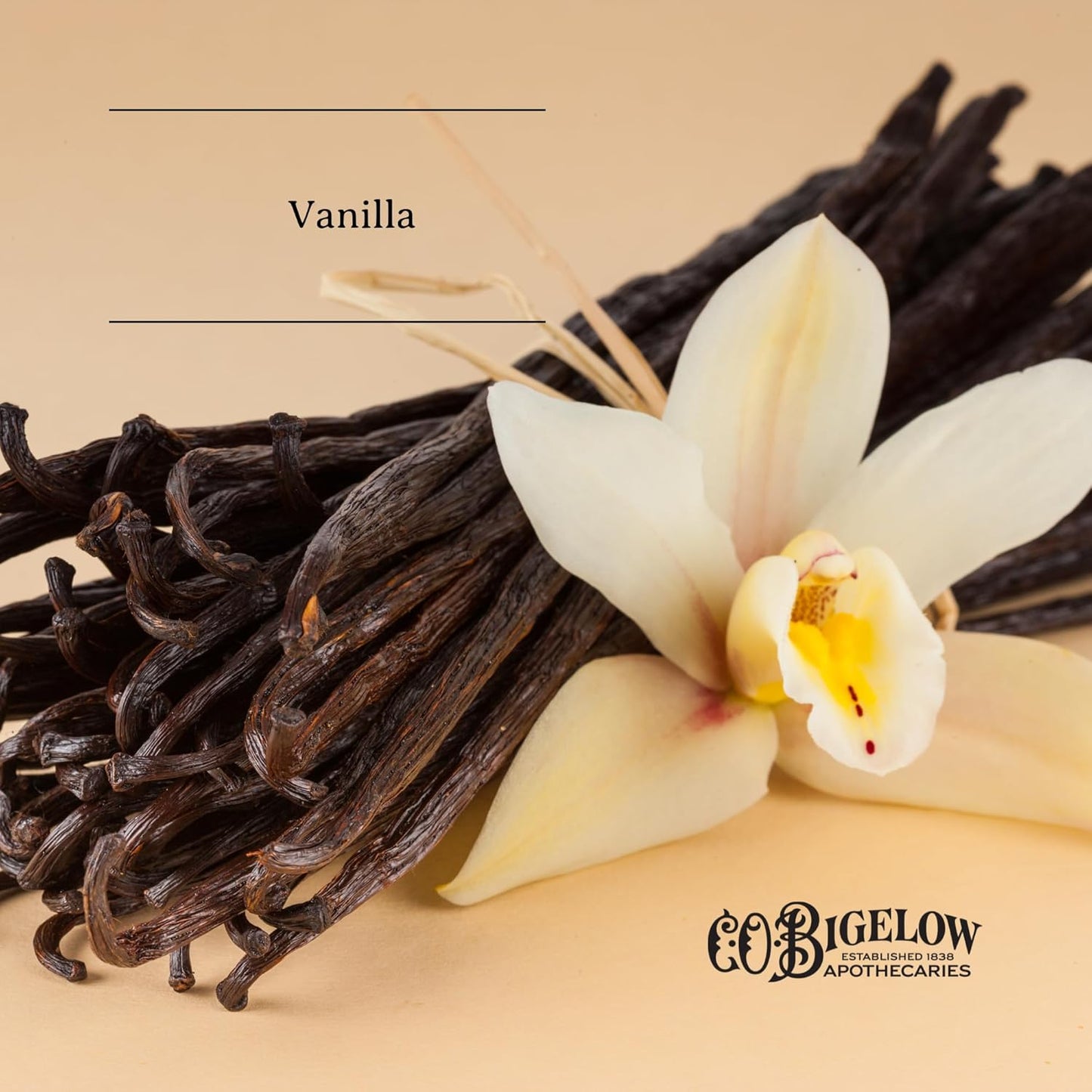 C.O. Bigelow My Favorite Lip Balm Tubes, Pack of 3 Bulk Lip Balm Tubes with Shea Butter & Jojoba Oil, 0.5 oz