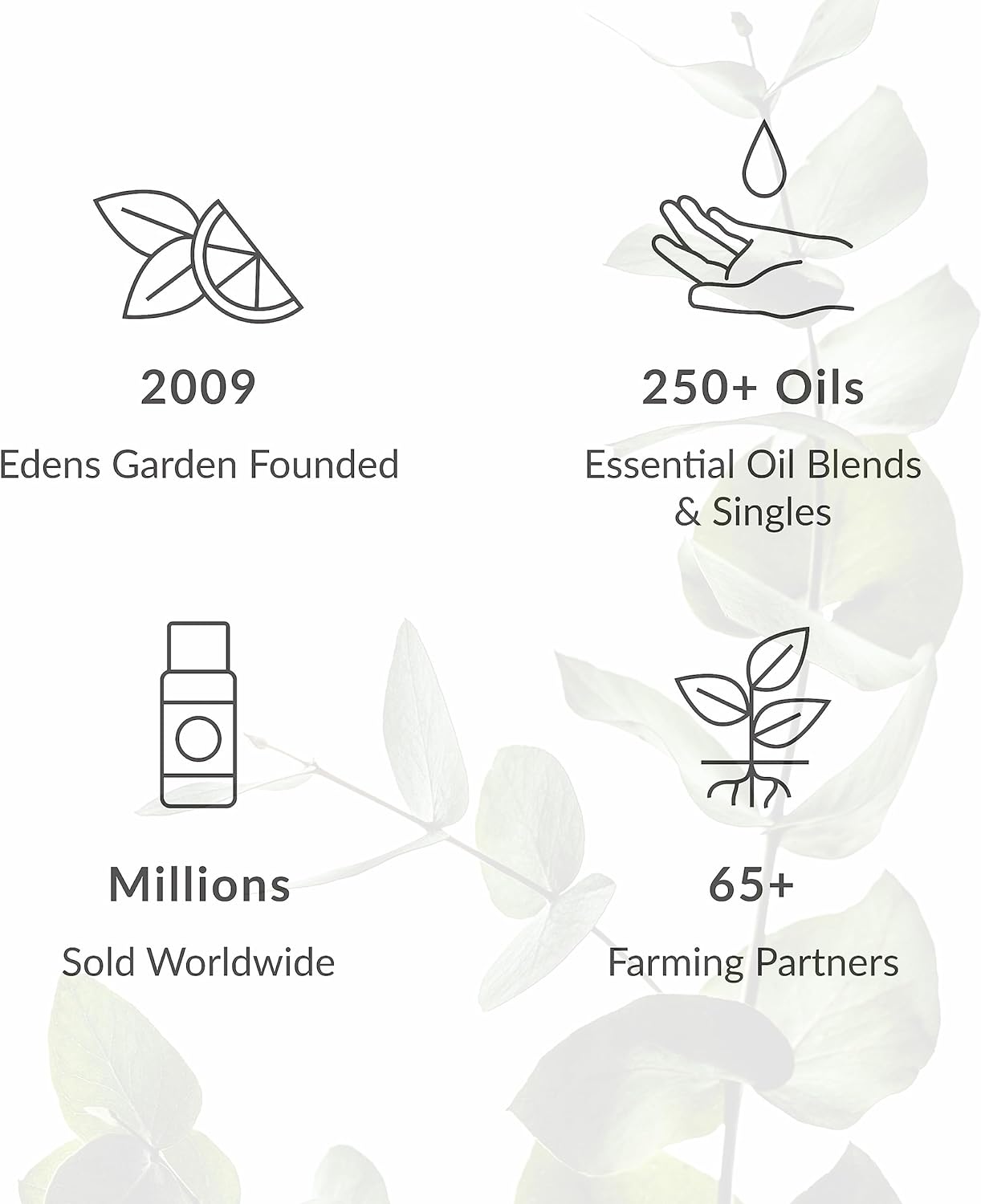 Edens Garden Joy Essential Oil Roll-On Blend- 100% Pure Premium Grade, Natural, Therapeutic, Aromatherapy, Kid & Skin Safe, The Best for Gifts, Comfort, Relaxation Pre-Diluted 10 ml (.33 fl oz)