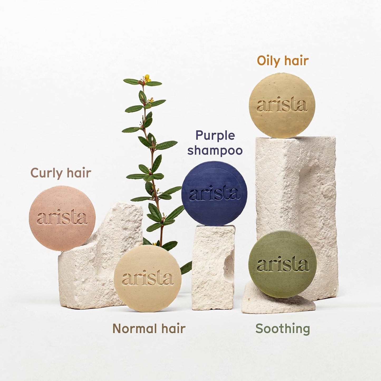 Arista Normal Hair Shampoo Bar | Sulfate-Free, Shikakai & Argan Oil Solid Shampoo Puck | Eco-Friendly, Vegan