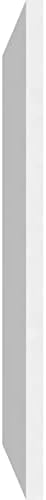 Ekena Millwork 38"W x 18"H x 5/8"P Harrison Raised Panel Decorative Wall Panel - Image 3