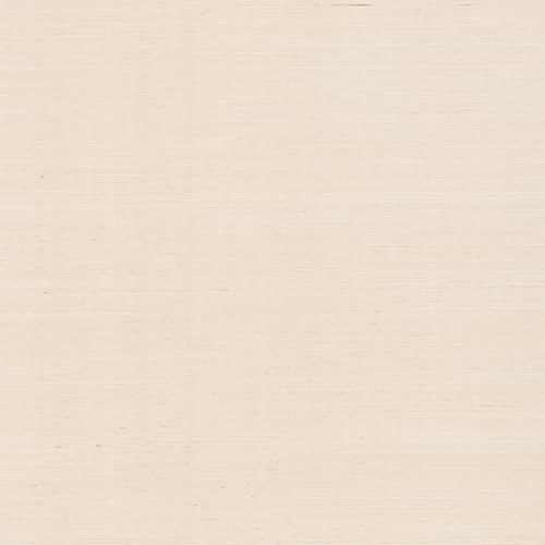 York Wallcoverings Natural Sisal Plaster Peel and Stick Wallpaper by YorkWallcoverings