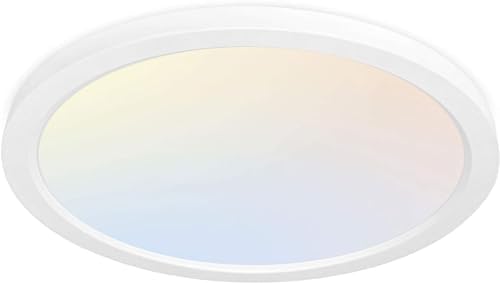 hykolity 12 Inch Selectable CCT LED Round Flat Panel Light by hykolity