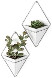 Umbra Trigg Wall Display, Geometric Planter Vessels by Umbra