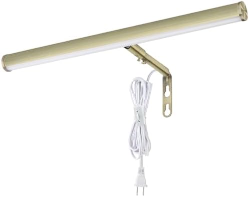 LED Picture Lights for Paintings Plug in, Antique Brass Finish by Xbuyee