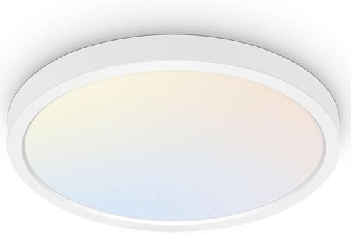 hykolity 18 Inch LED Round Flat Panel Light by hykolity