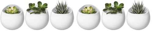 Mkono 4 Inch Wall Mounted Planter Round Ceramic Hanging Plant Holder Decorative by Mkono