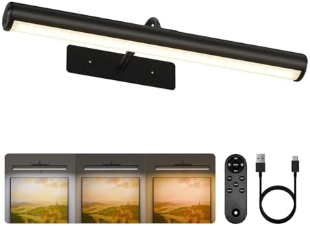 EZVALO 16inch Picture Lights for Wall, 6000mAh Rechareable by EZVALO