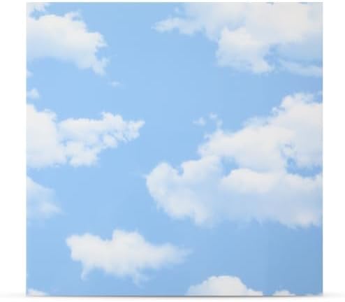 Nuanchu 40 Pcs 11.81 x 11.81 Inch Ceiling Tiles Peel and Stick by Nuanchu