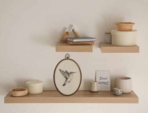 Hummingbird Sketch Oval Wall Art, Vintage Black and White Bird Oval Framed Wall - Image 4