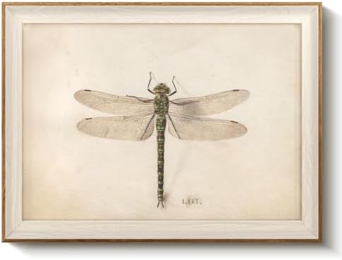 VIYYIEA Framed Dragonfly Canvas Wall Art Elegant Nature Decor by VIYYIEAART