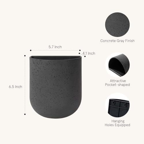LA Jolie Muse Wall Planters for Indoor Plants, Hanging Flower Pots, 2 Pack - Image 4