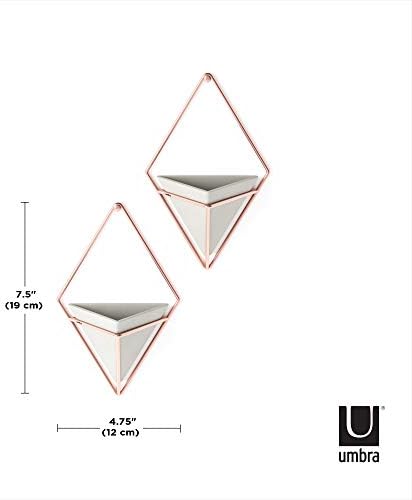 Umbra Trigg Hanging Planter Vase Wall Decor, Faux Plants, and More - Image 5