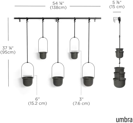 Umbra Triflora Hanging Planter, Window Herb Garden - Image 3