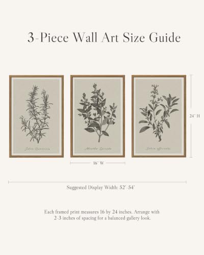 InSimSea Large 3 Pieces Botanical Wall Art, Vintage Herb Canvas Prints - Image 6