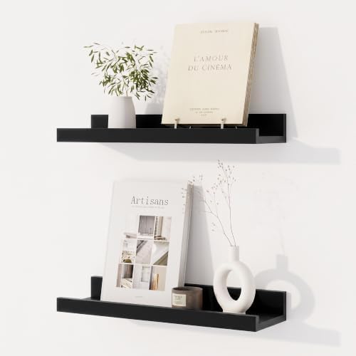 Dreamland Picture Ledge Shelf for Wall, Floating Shelves Set of 2, 16 inch Long by Dreamland