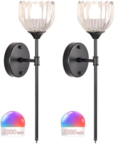 Shenmoyl Battery Operated Wall Sconce Set of 2 by Shenmoyl
