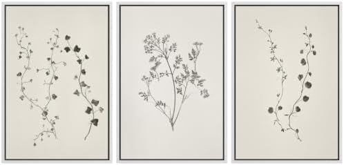 MUDECOR Framed Canvas Print Wall Art Set Botanical Sprigs by MUDECOR