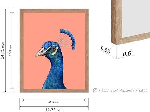 Poster Master Peacock Print - Image 3