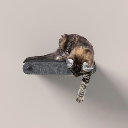 Cat Wall Shelves by PrydePets