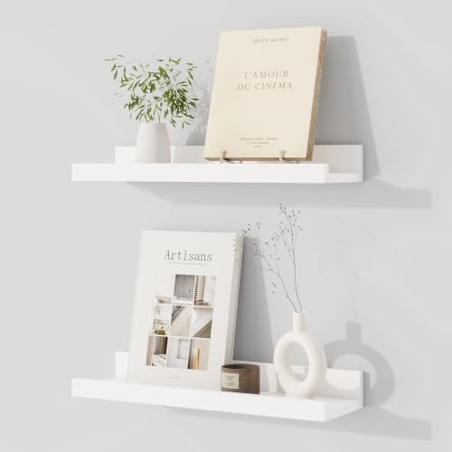 Dreamland Picture Ledge Shelf for Wall, Floating Shelves Set of 2, 16 inch Long by Dreamland