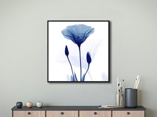 Pyradecor Framed Blue Xray Transparent Flower Canvas Wall Art, Minimalist - Image 5