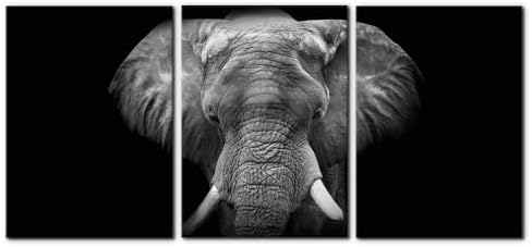 Pacimo 3 Pieces Wall Art for Living Room Elephant Canvas Wall Decor for Bedroom by Pacimo