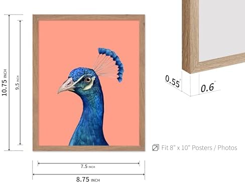 Poster Master Peacock Print - Image 3