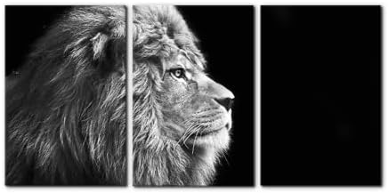 Pacimo Male Lion Canvas Wall Art Print 3 Pieces Animals Portrait Painting Wall by Pacimo