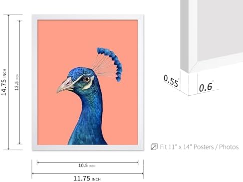 Poster Master Peacock Print - Image 3