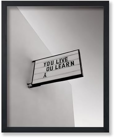 Poster Master You Live You Learn Poster by PosterMaster