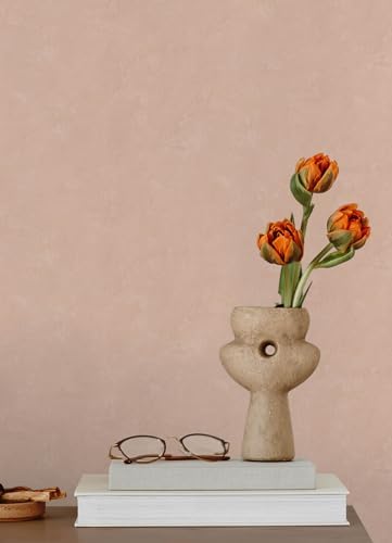 Mr. Kate Daphne Potter's Clay Peach Limewash Peel and Stick Wallpaper - Image 2