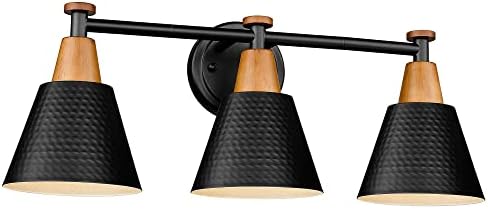 FEMILA Black Bathroom Light Fixtures, 3-Light Bathroom Vanity Lights Over Mirror by FEMILA